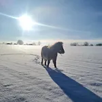 Naturcamp Am * Steinhofel
