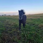 Naturcamp Am Steinhofel