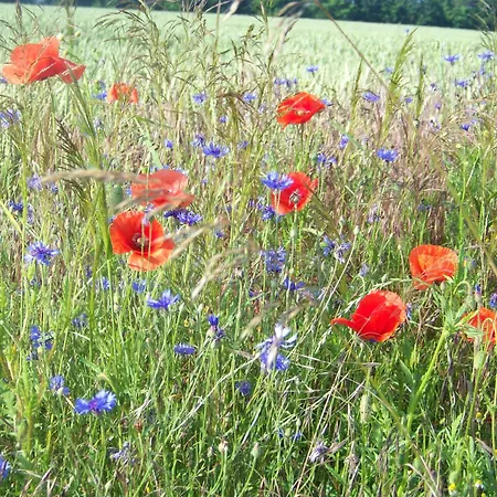 펜션 Naturcamp Am Steinhofel