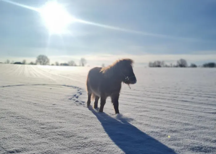 Naturcamp Am * Steinhofel