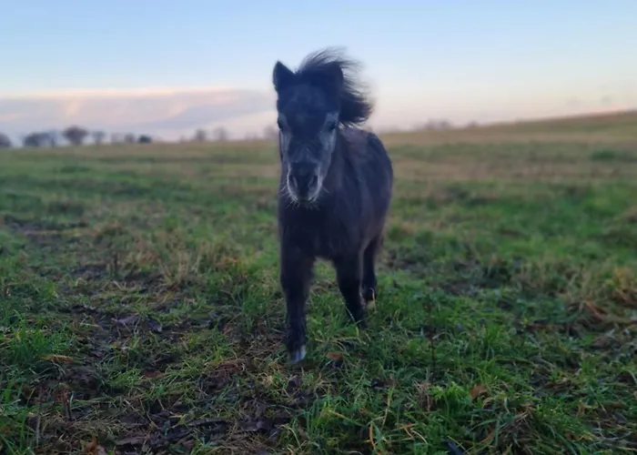 Naturcamp Am Steinhofel